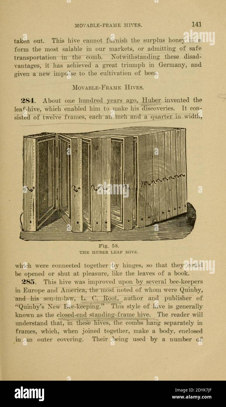 Langstroth auf dem Bienenstock und Honigbiene (Seite 141) Stockfoto