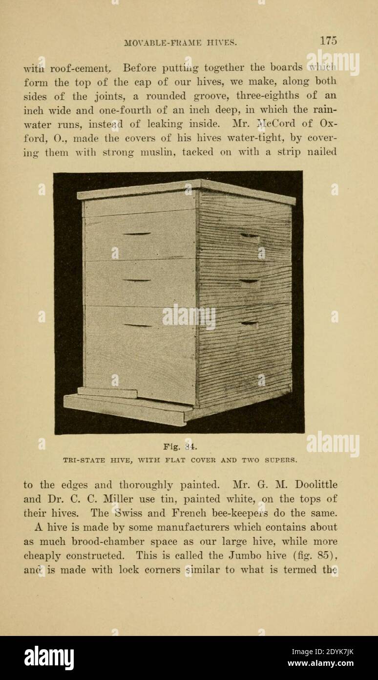 Langstroth auf dem Bienenstock und Honigbiene (Seite 175) Stockfoto