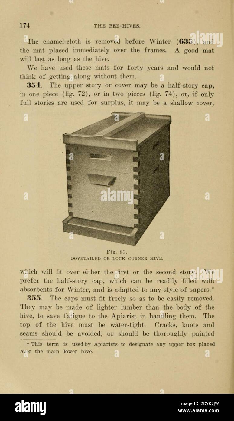 Langstroth auf dem Bienenstock und Honigbiene (Seite 174) Stockfoto