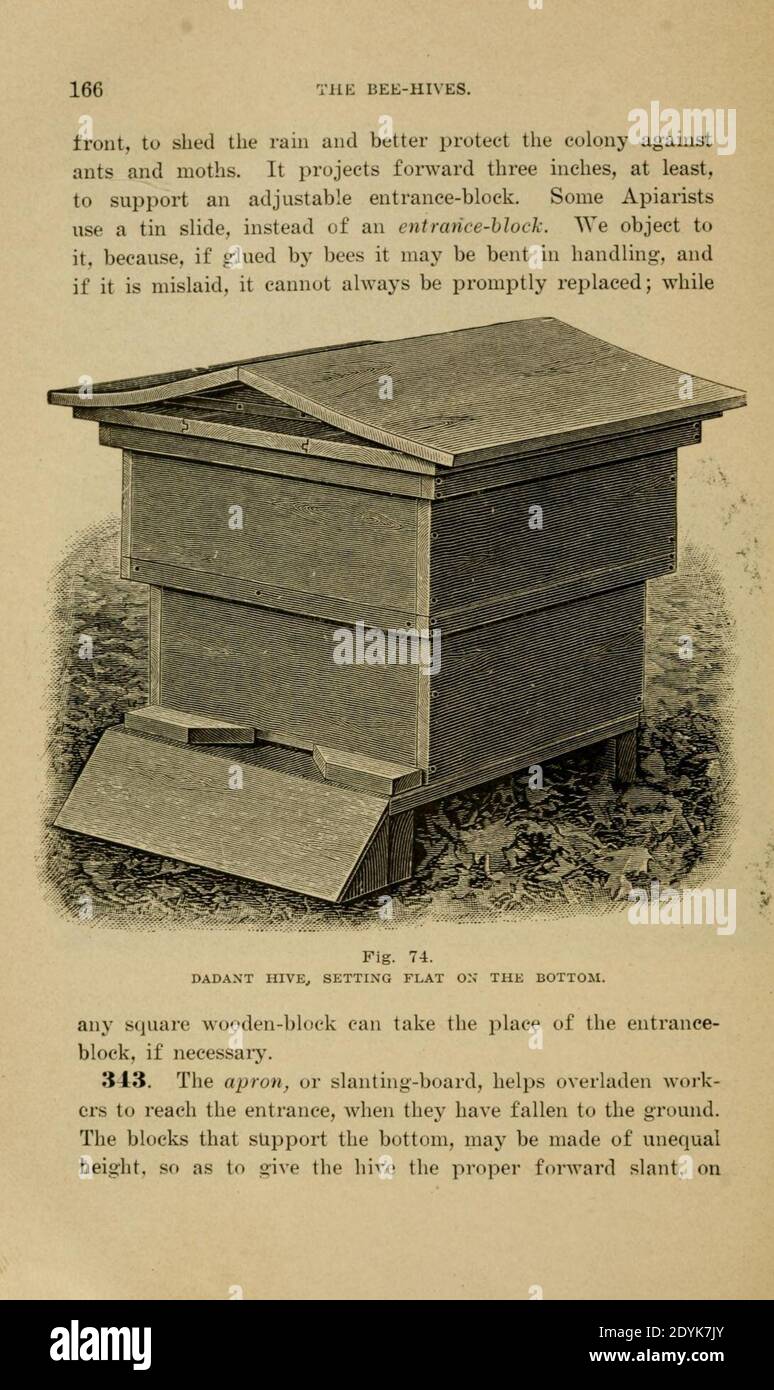 Langstroth auf dem Bienenstock und Honigbiene (Seite 166) Stockfoto