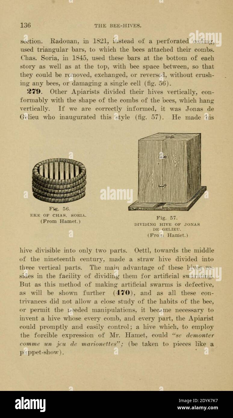 Langstroth auf dem Bienenstock und Honigbiene (Seite 136) Stockfoto