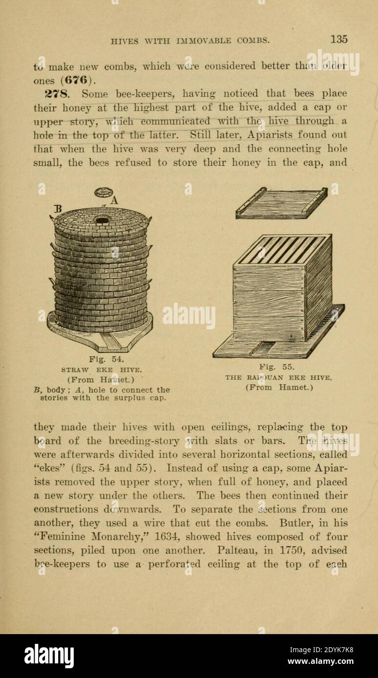 Langstroth auf dem Bienenstock und Honigbiene (Seite 135) Stockfoto