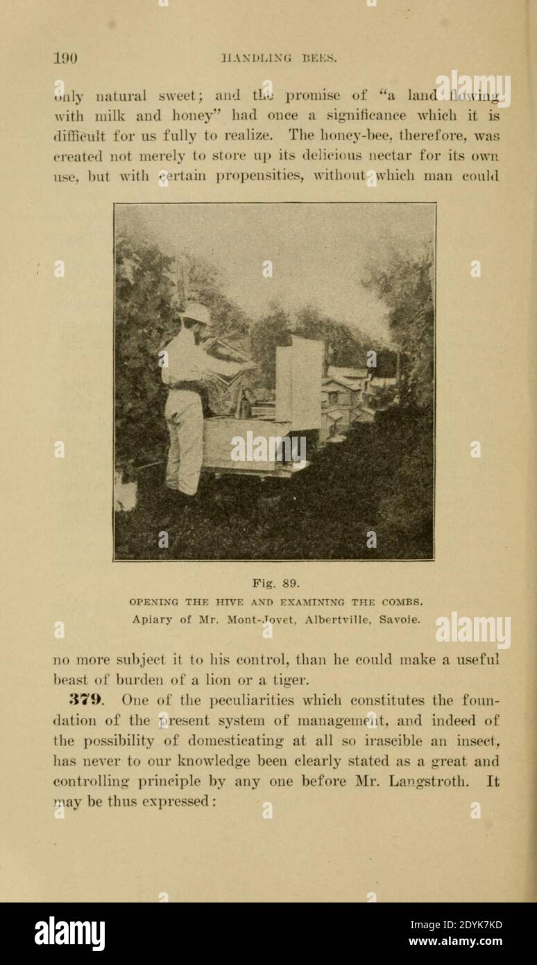 Langstroth auf dem Bienenstock und Honigbiene (Seite 190) Stockfoto