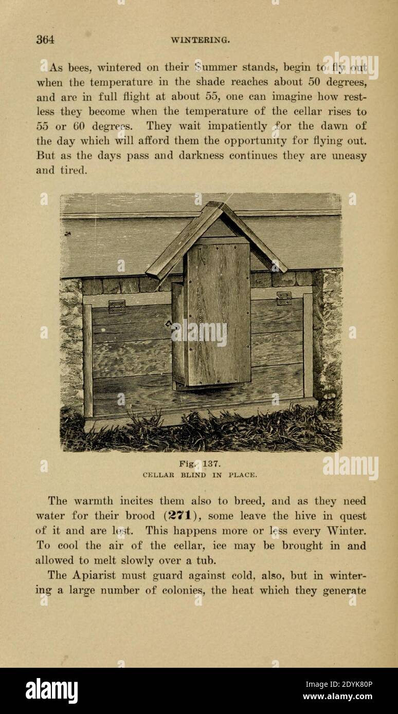 Langstroth auf dem Bienenstock und Honigbiene (Seite 364) Stockfoto