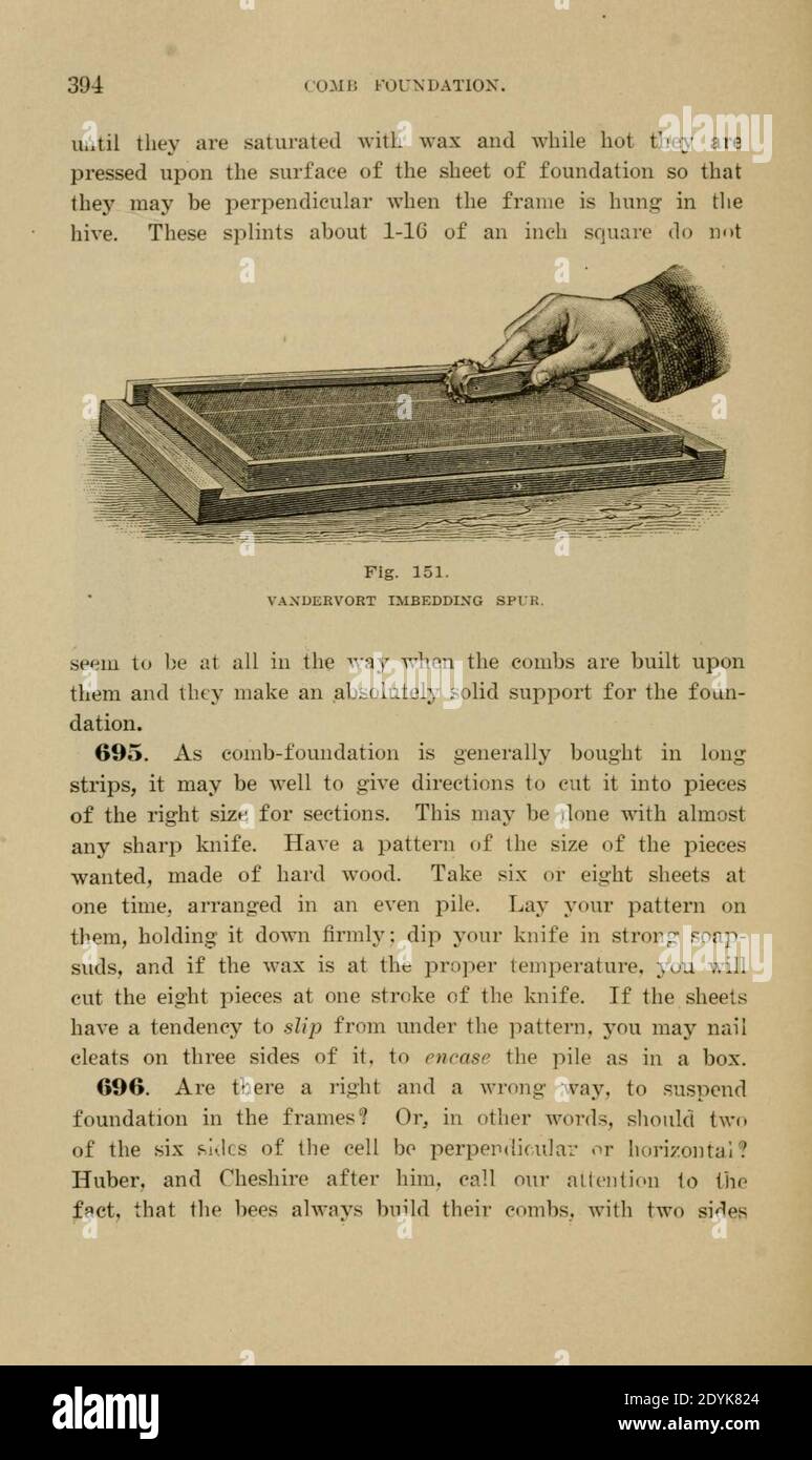 Langstroth auf dem Bienenstock und Honigbiene (Seite 394) Stockfoto