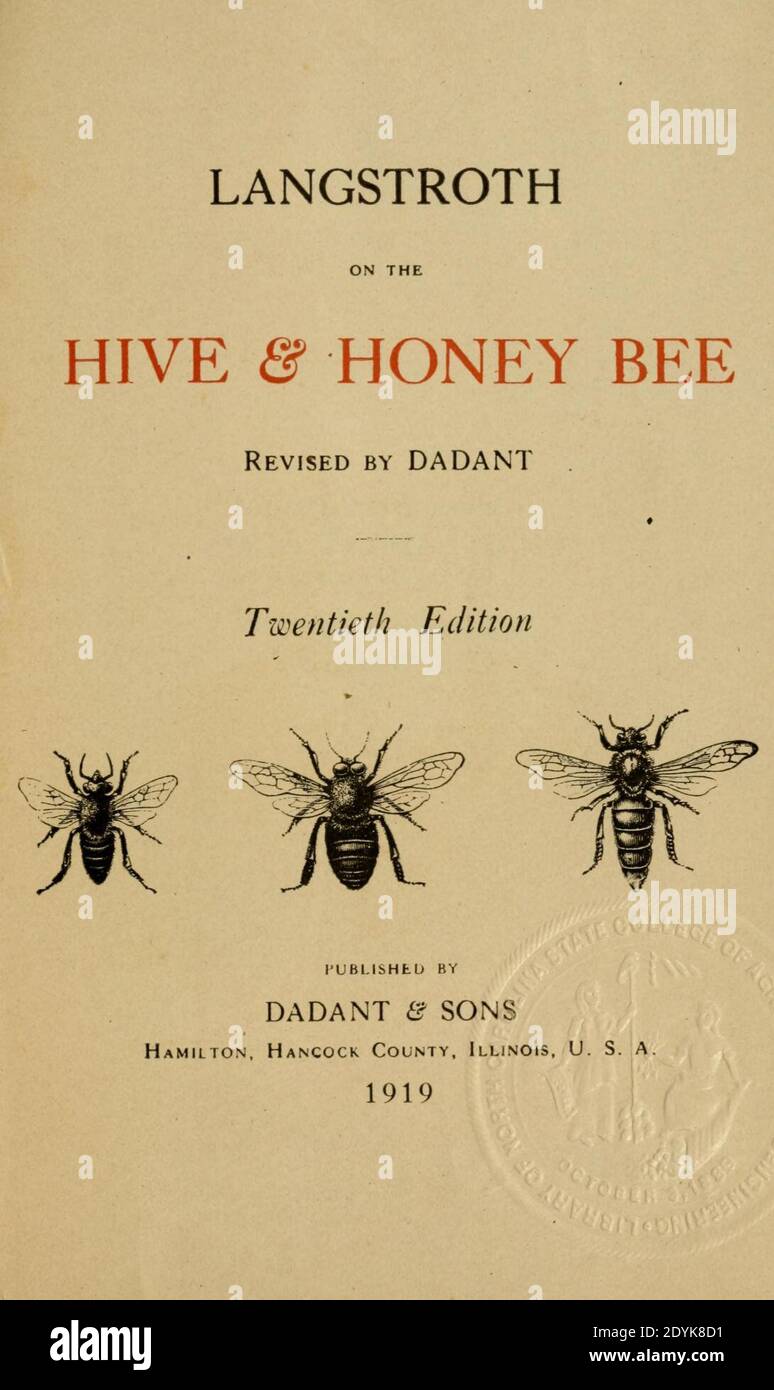Langstroth auf dem Bienenstock und Honigbiene Stockfoto