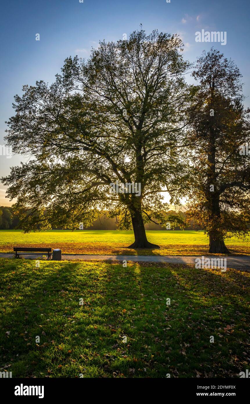 Rosenthal Waldpark in Leipzig, Sachsen, Deutschland. Nördlich des historischen Stadtzentrums gelegen, ist Rosenthal Teil des Denkmalschutzgebietes der Leipzi Stockfoto