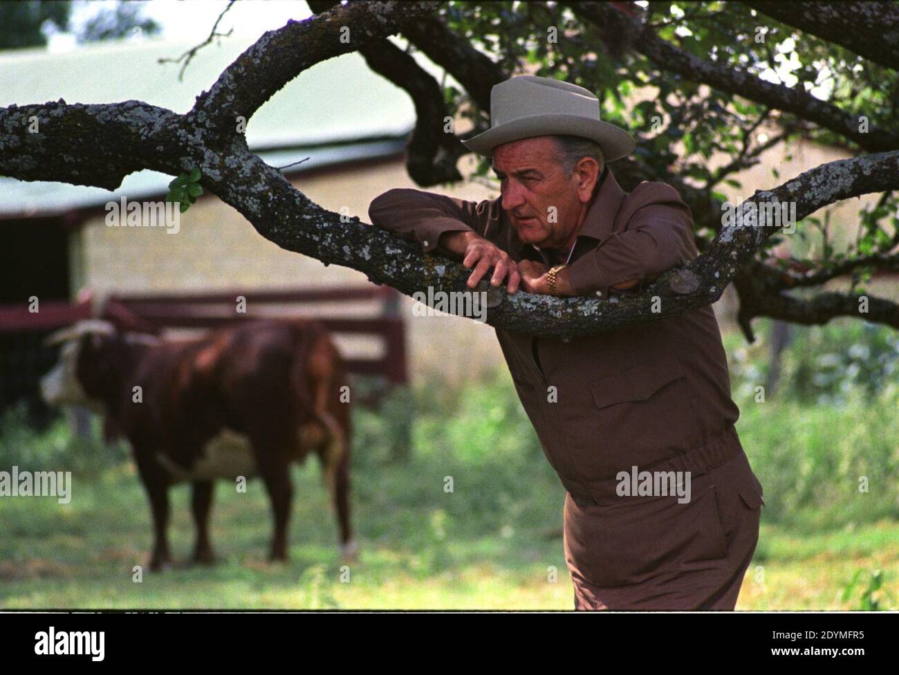 LBJ und Ranch. Stockfoto