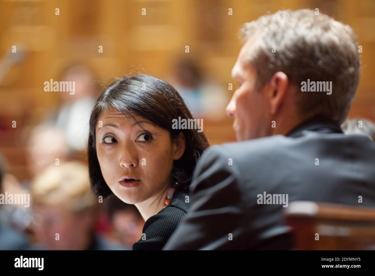 Der französische Juniorminister für KMU, Innovationen und digitale Wirtschaft Fleur Pellerin im Bild im Gespräch mit dem Juniorminister für Lebensmittelindustrie Guillaume Garot während der Fragestunde im Senat am 20. Juni 2013 in Paris. Foto von Romain Boe/ABACAPRESS.COM Stockfoto