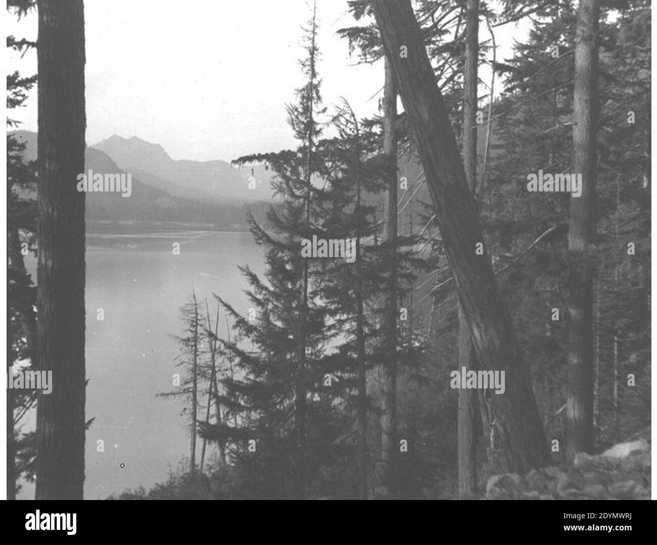 Lake Keechelus 72 Meilen östlich von Mount Rainier Washington Oktober 17 1915 (KIEHL 227). Stockfoto