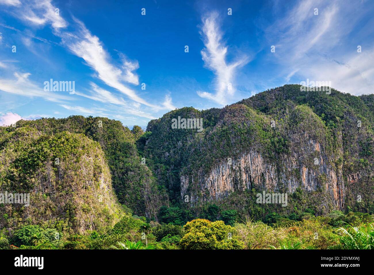 Valle de Vinales, Pinar del Rio, Kuba Stockfoto