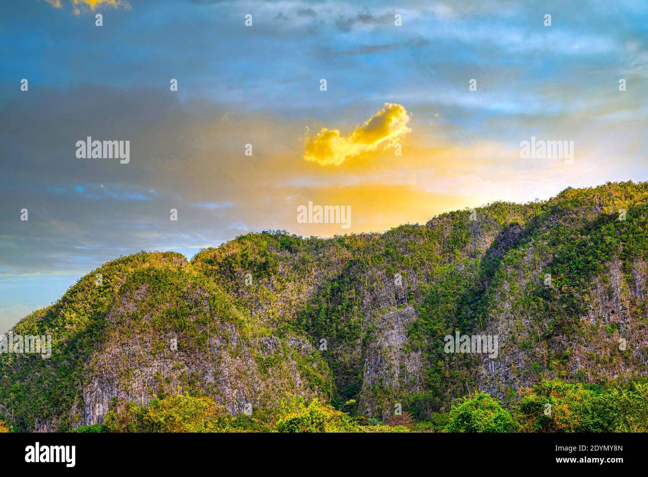 Valle de Vinales, Pinar del Rio, Kuba Stockfoto