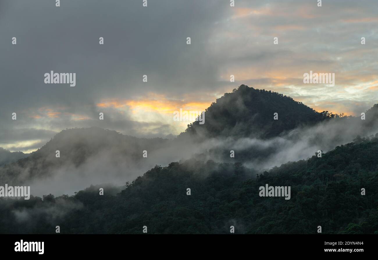 Wolkenwald Panorama Sonnenaufgang, Mindo, Ecuador. Stockfoto