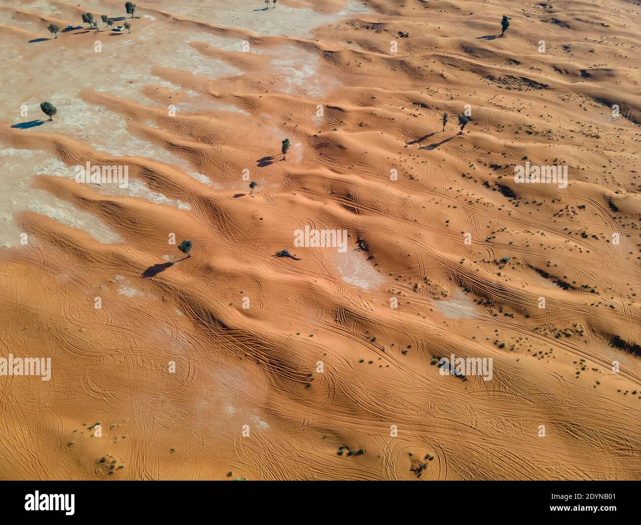 Leere Wüste in den Vereinigten Arabischen Emiraten mit goldenem Sand Blick auf die Dünen Stockfoto