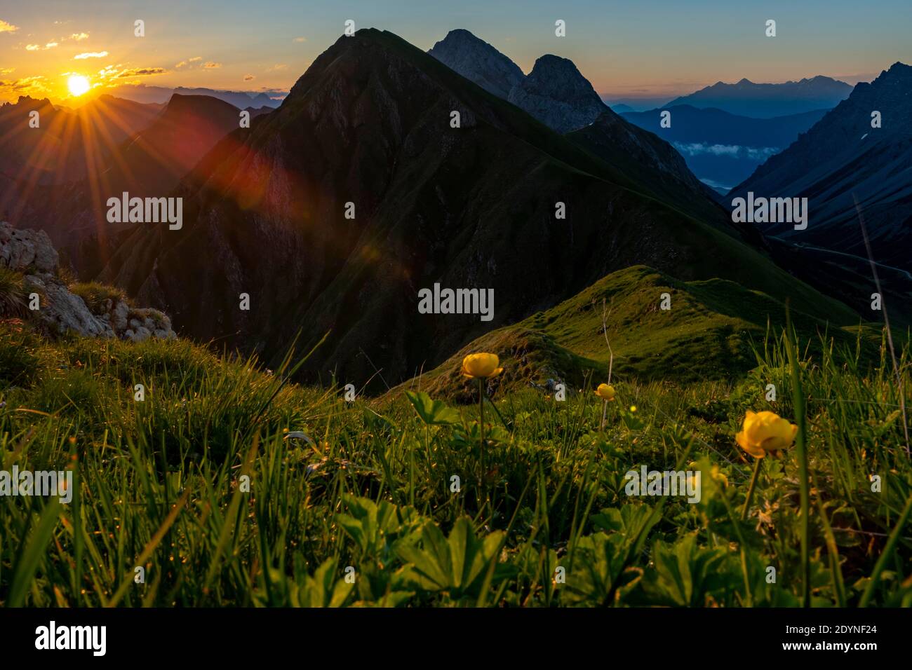 Bergwiese des Habart-Kamms im Vordergrund mit Bergen des Maldon-Kamms im Hintergrund bei Sonnenaufgang, Elmen, Lechtaler Alpen Stockfoto