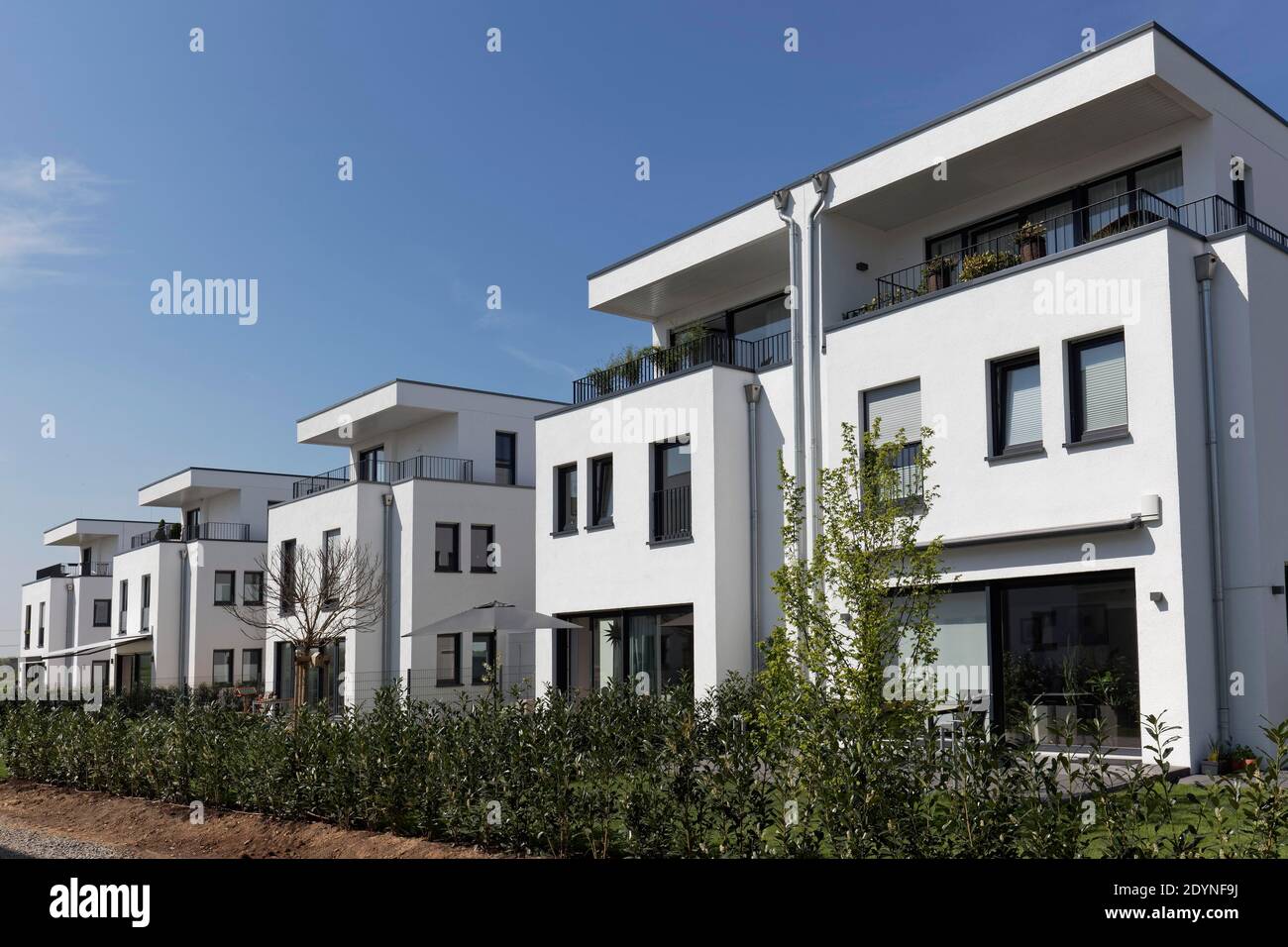 Moderne Zweifamilienhäuser im Bauhausstil, Kubushäuser, Düsseldorf, Nordrhein-Westfalen, Deutschland Stockfoto