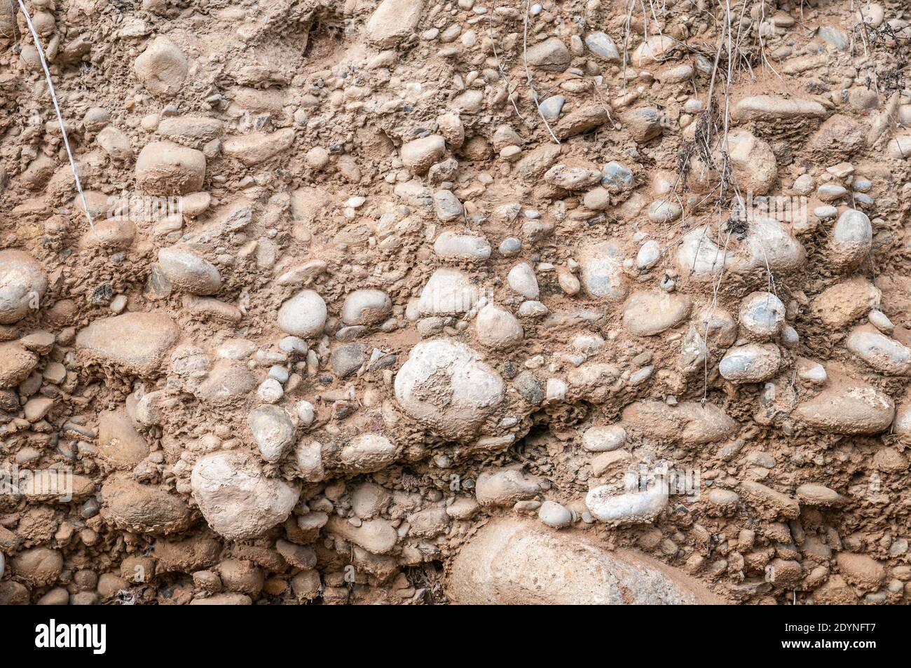 Ansicht von Konglomerat, Sedimentgestein, Geologie Stockfoto