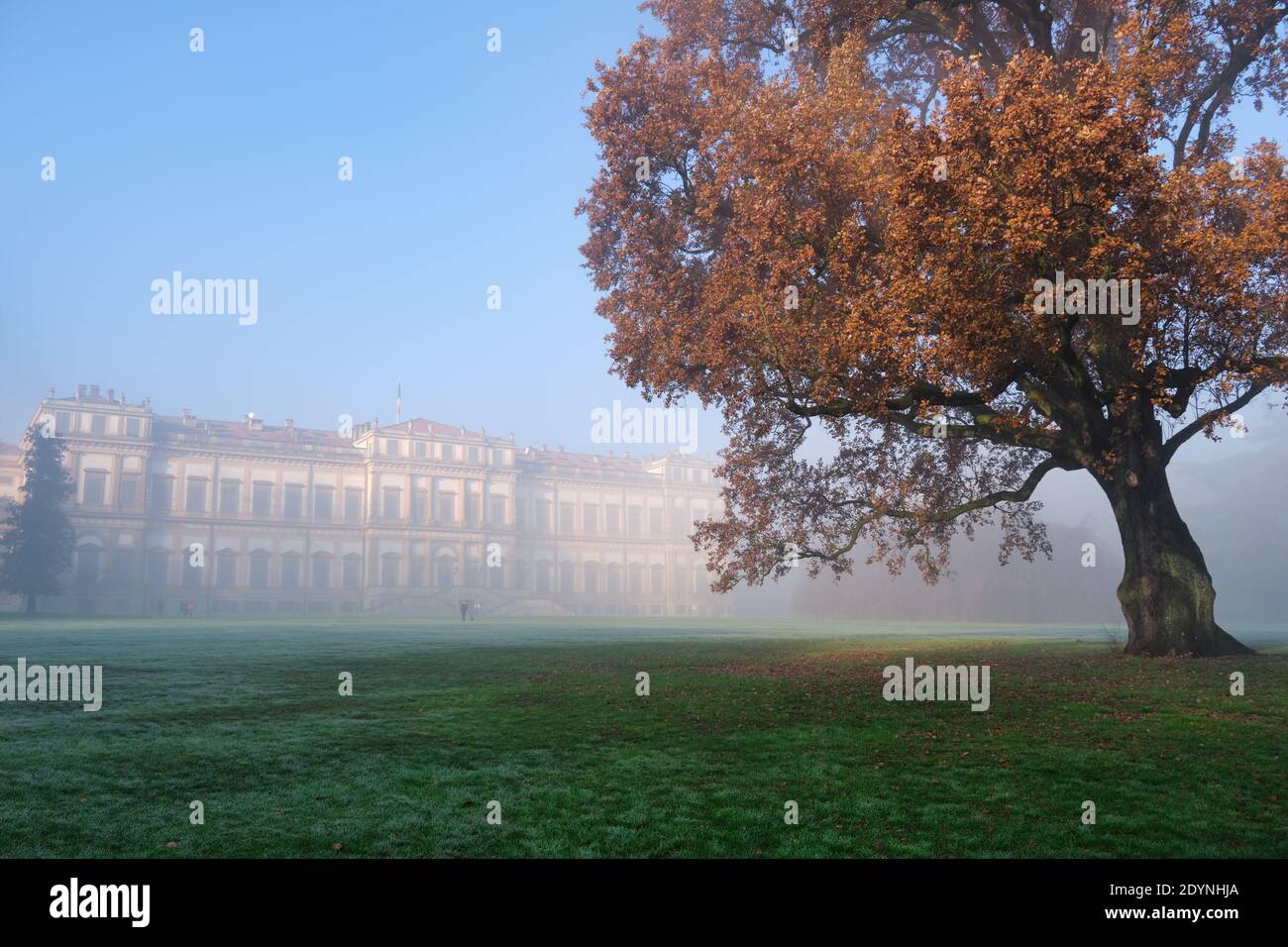 Morgennebel in der königlichen Villa von Monza, Italien Stockfoto