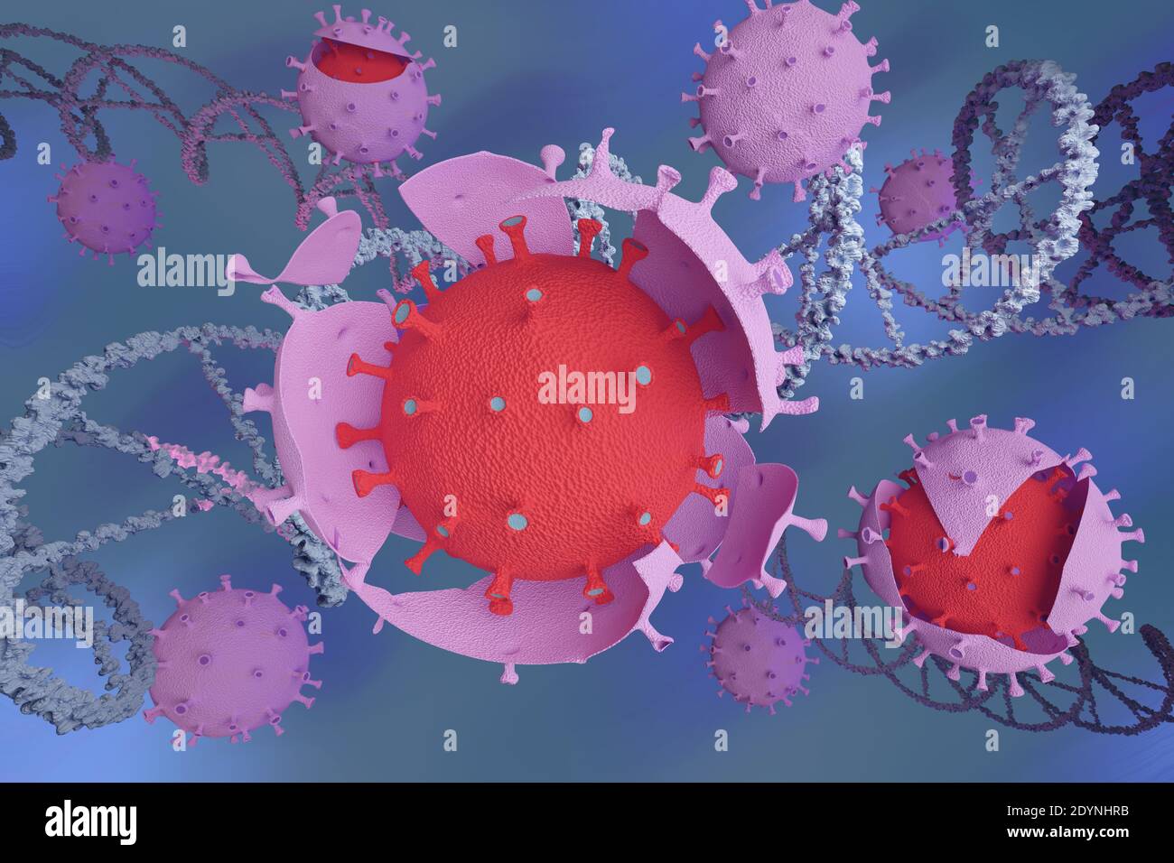 Covid 19-Virus mutiert zu einem neuen Stamm zwischen DNA-Strängen. 3d-Illustration. Stockfoto