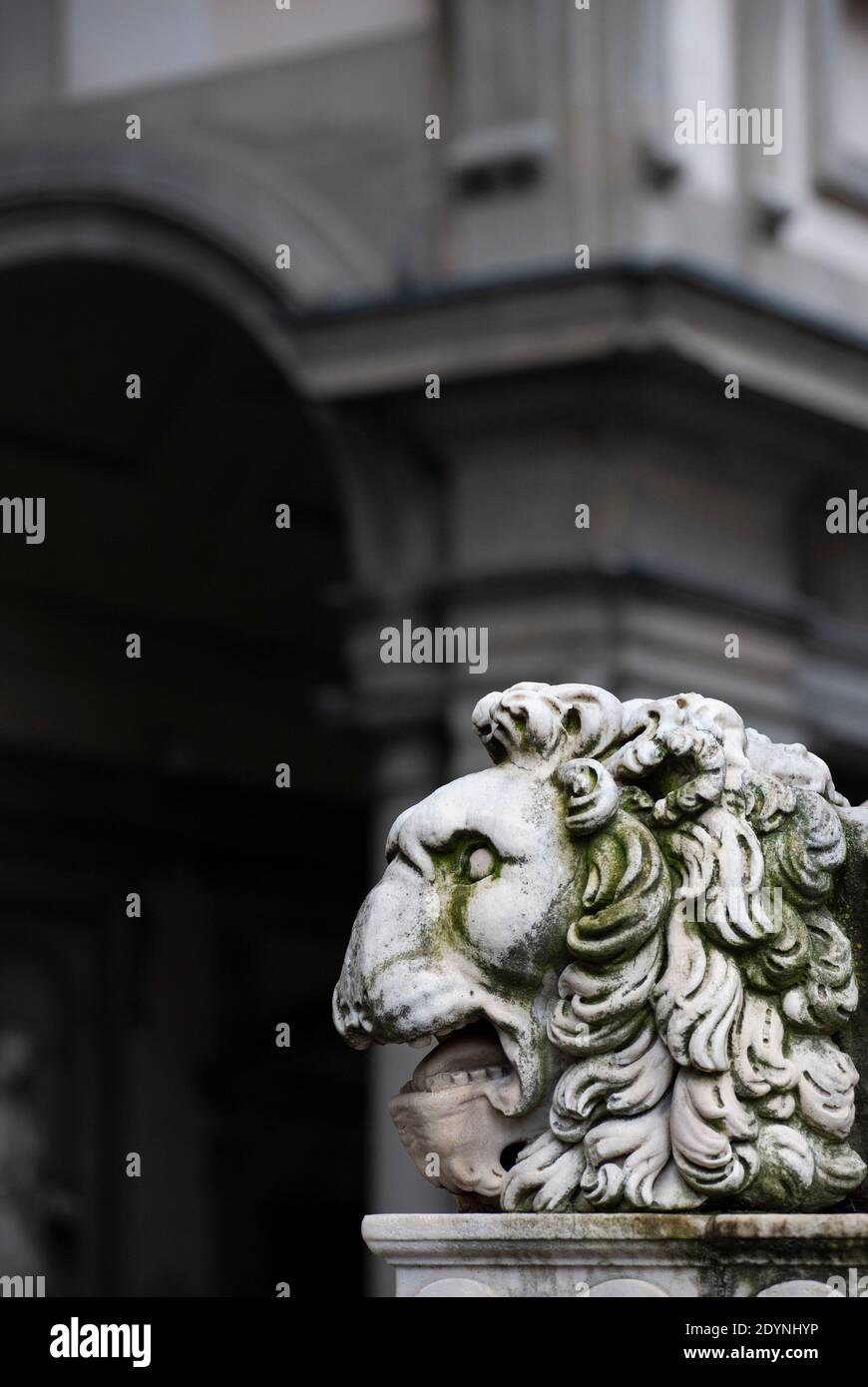 Löwenmarmor Kopf, auf der Basis der Herkules Statue Sockel, auf der Piazza Signoria, Florenz. Uffizien Museum Gebäude im Hintergrund. Speicherplatz kopieren. Stockfoto