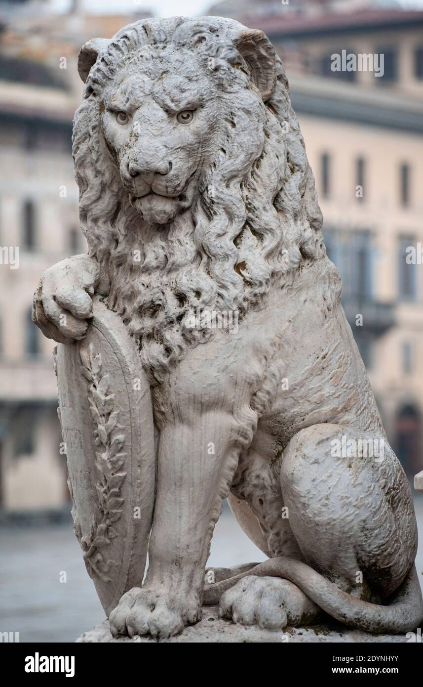 Der Marzocco ist der Wappentier, der ein Symbol von Florenz ist. Es liegt am Santa Croce Square. Stockfoto