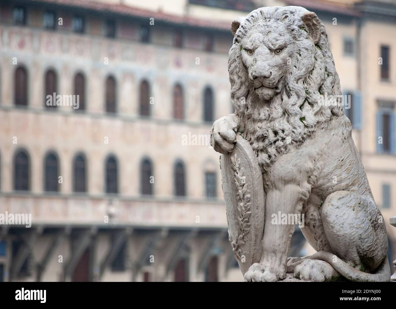Der Marzocco ist der Wappentier, der ein Symbol von Florenz ist. Es liegt am Santa Croce Square. Speicherplatz kopieren. Stockfoto