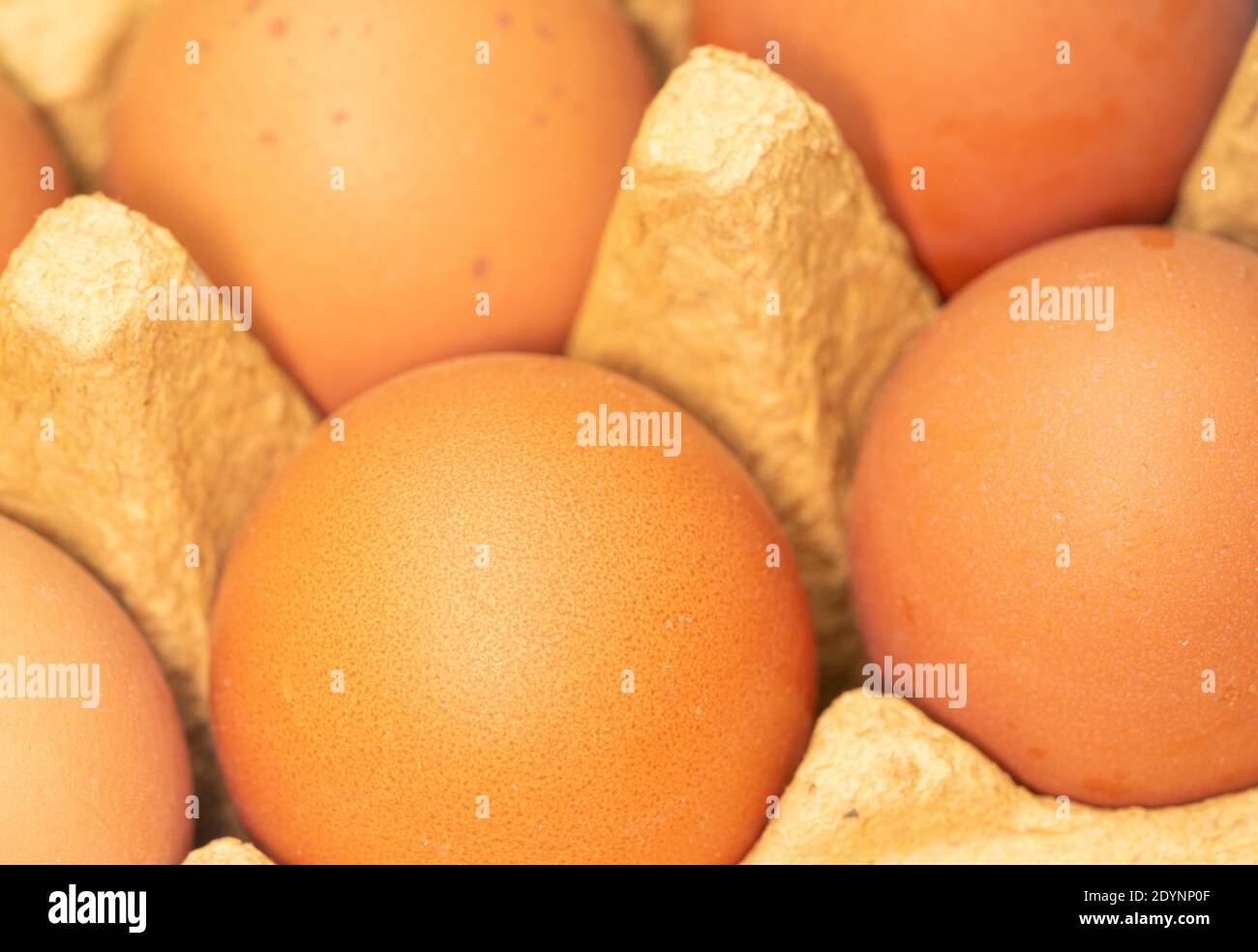 Ein paar gelbe Eier in einem Tablett aus der Nähe Stockfoto