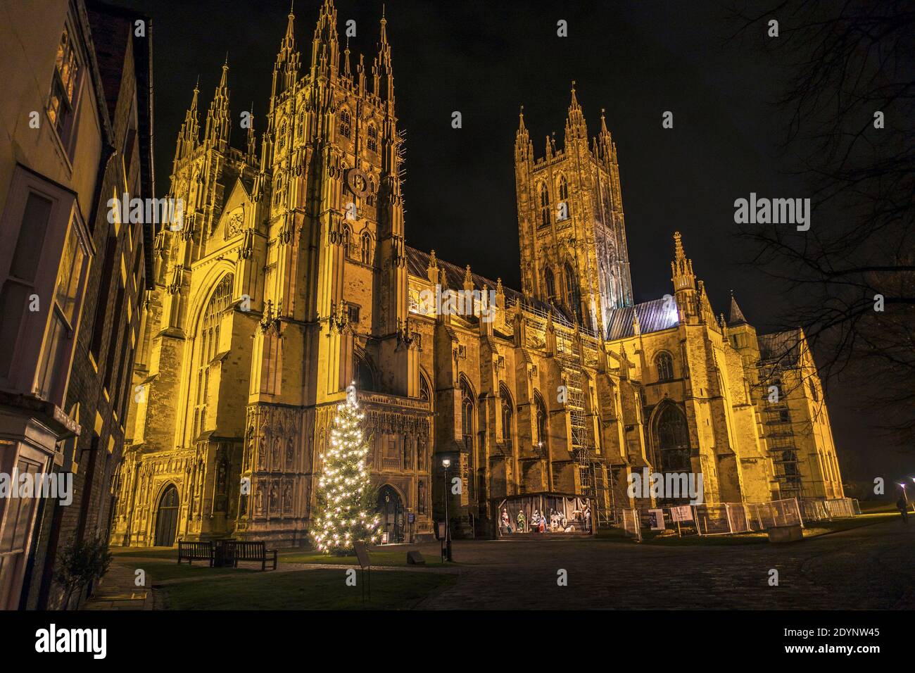Canterbury Kathedrale Weihnachtsbaum Weihnachtskrippe mit Flutlicht Stockfoto