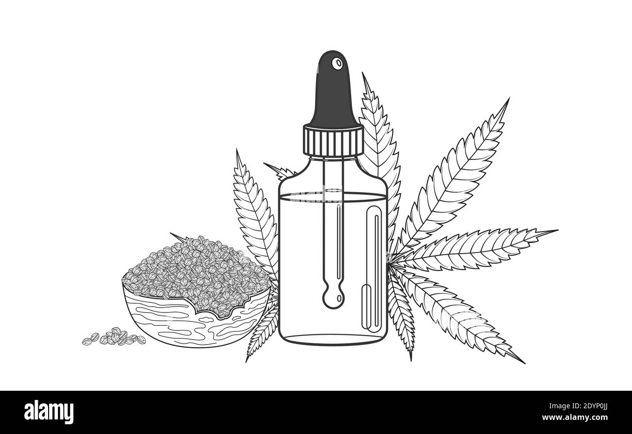 Hanf-Samenölflasche mit Marihuana oder Cannabisblatt, Samen in Schüssel. Vektordarstellung in Hand gezeichnete Linie Skizze Stil auf weißem Hintergrund Stock Vektor