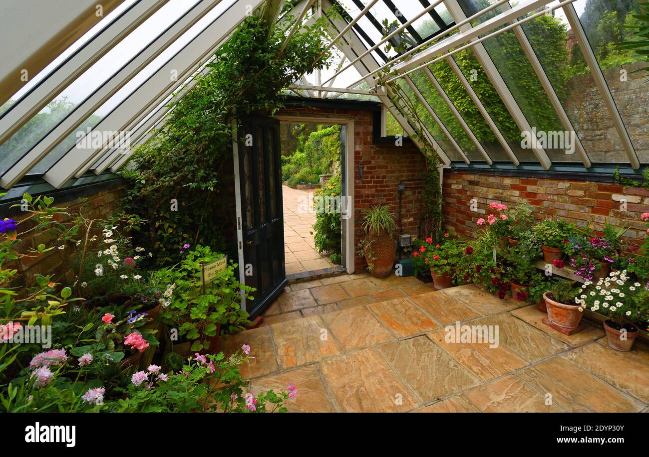 Altes Gewächshaus mit Pflanzen und Blumen. Stockfoto