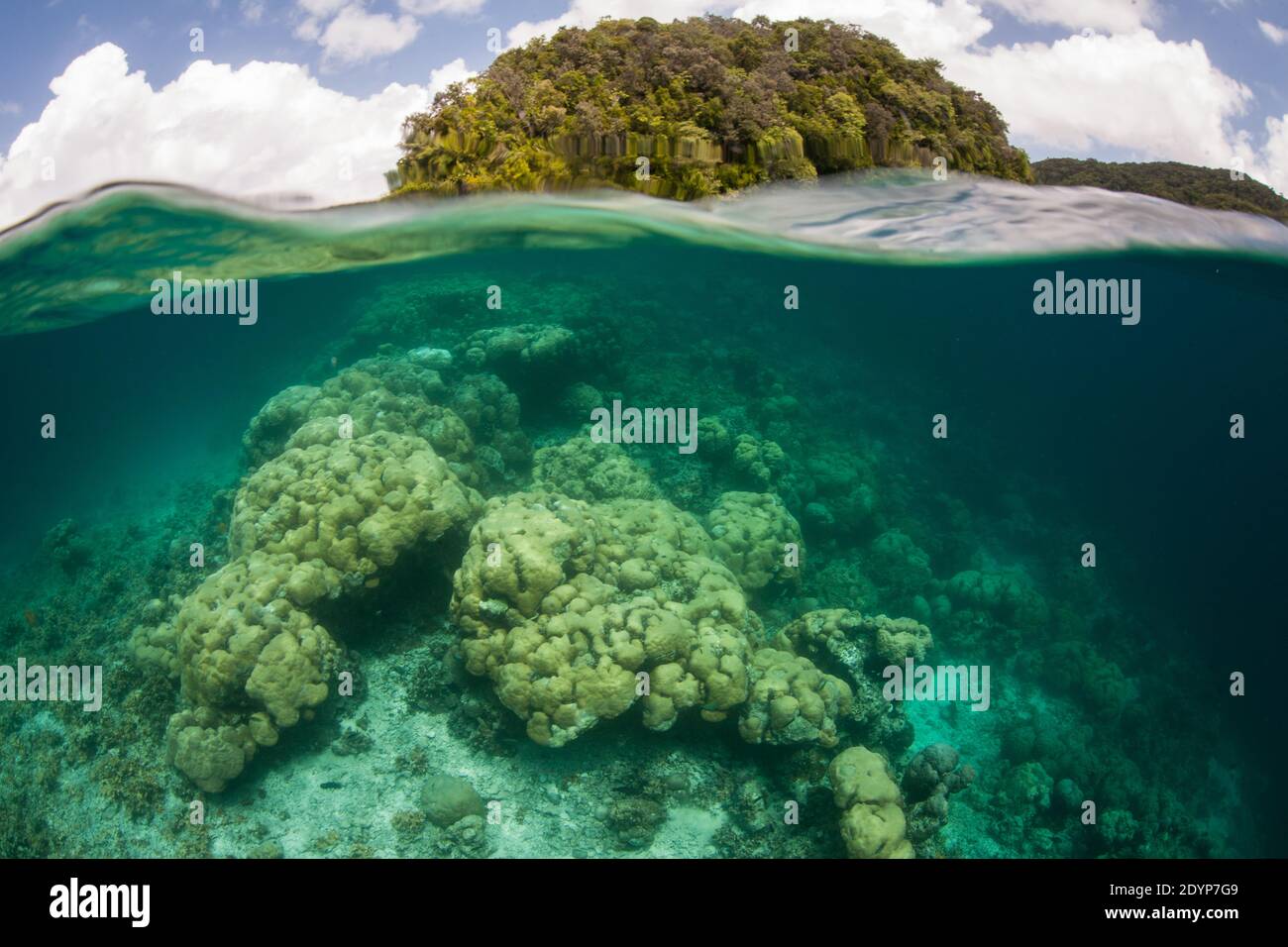 Korallen gedeihen inmitten der Kalksteininseln von Palau.Diese landschaftlich reizvolle Gruppe tropischer Mikronesian-Inseln unterstützt eine erstaunliche Vielfalt an mariner Biodiversität. Stockfoto