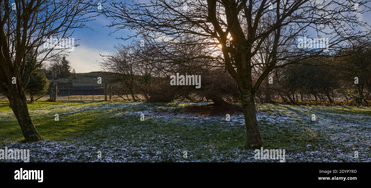 Ein Prise Schnee und ein sonniger Dezemberblick nach Süden Aus dem Yorkshire Kleingarten am Weihnachtstag Stockfoto