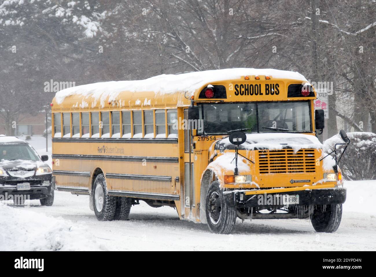 Toronto gelb Schulbus in einem Winter Schneesturm, Kanada Stockfoto