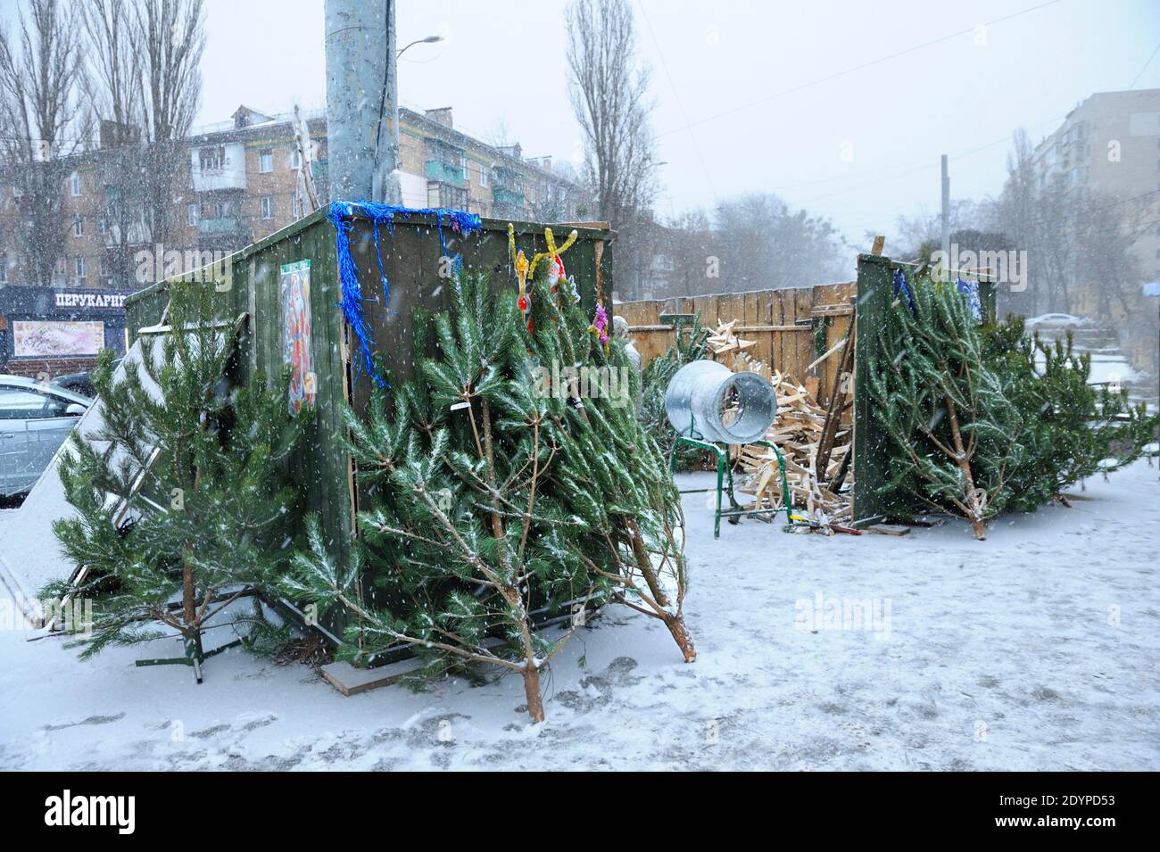 Vorbereitung auf den Neujahrstag. Pinien und Fichten, die am Freiluftstand zum Verkauf stehen. Kiew, Ukraine Stockfoto