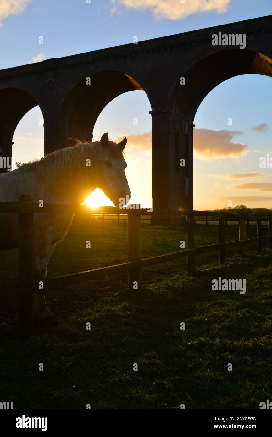 Die Sonne untergeht hinter dem Harringworth Viadukt, auch bekannt als das Welland Valley Viaduct an der Grenze von Rutland und Northamptonshire Stockfoto