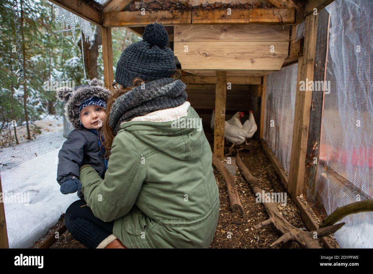 Mama und Baby in einem verschneiten Wintermorgen erkunden die Natur und entdecken Babys erste Nutztiere, wie schöne weiße Hühner in einem Hühnerstall. Stockfoto