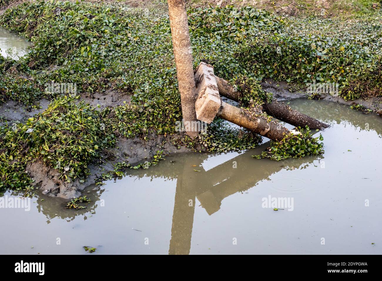 Gebrochene Säule einer Brücke über dem kleinen trockenen Fluss In Bangladesch Stockfoto