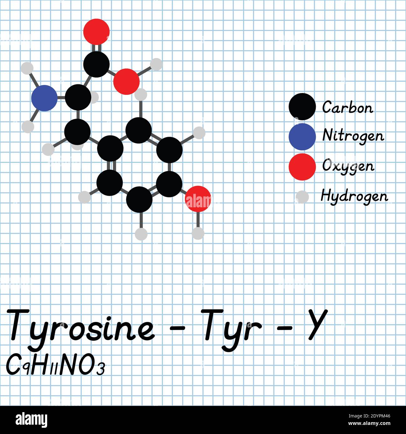 Tyrosin - Tyr - Y Amino Säure molekulare Formel und chemische Struktur . 2D Ball und Stick Modell auf Schule Papier Blatt Hintergrund. EPS10 Stock Vektor