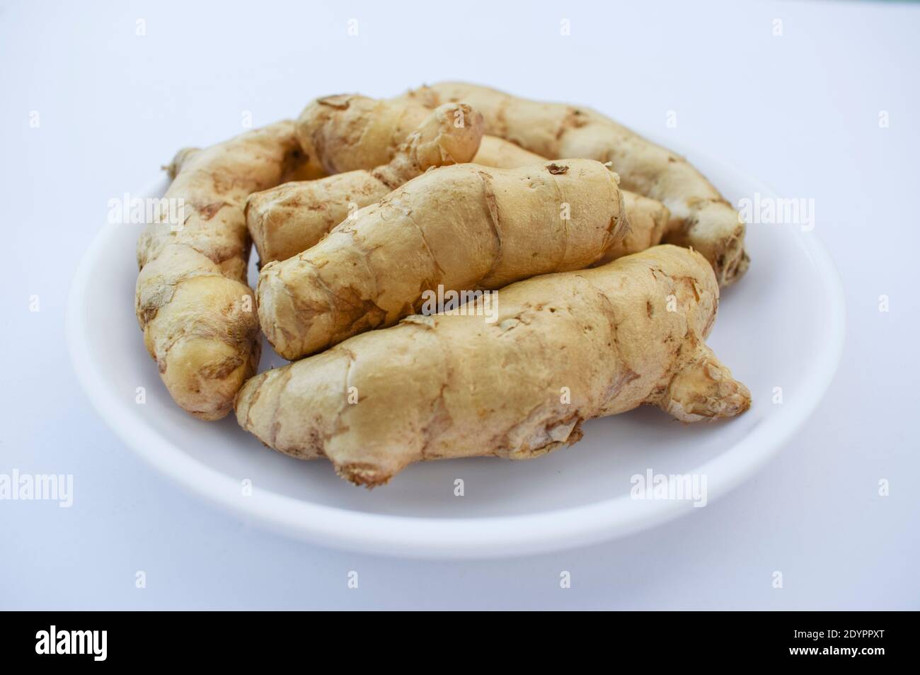 Nahaufnahme von weißen rohen Kurkuma longa, safed haldi frischen Rhizomen in weißem Teller mit weißem Hintergrund. Indische reife rohe Gewürzkräuter mit Kräuter Stockfoto