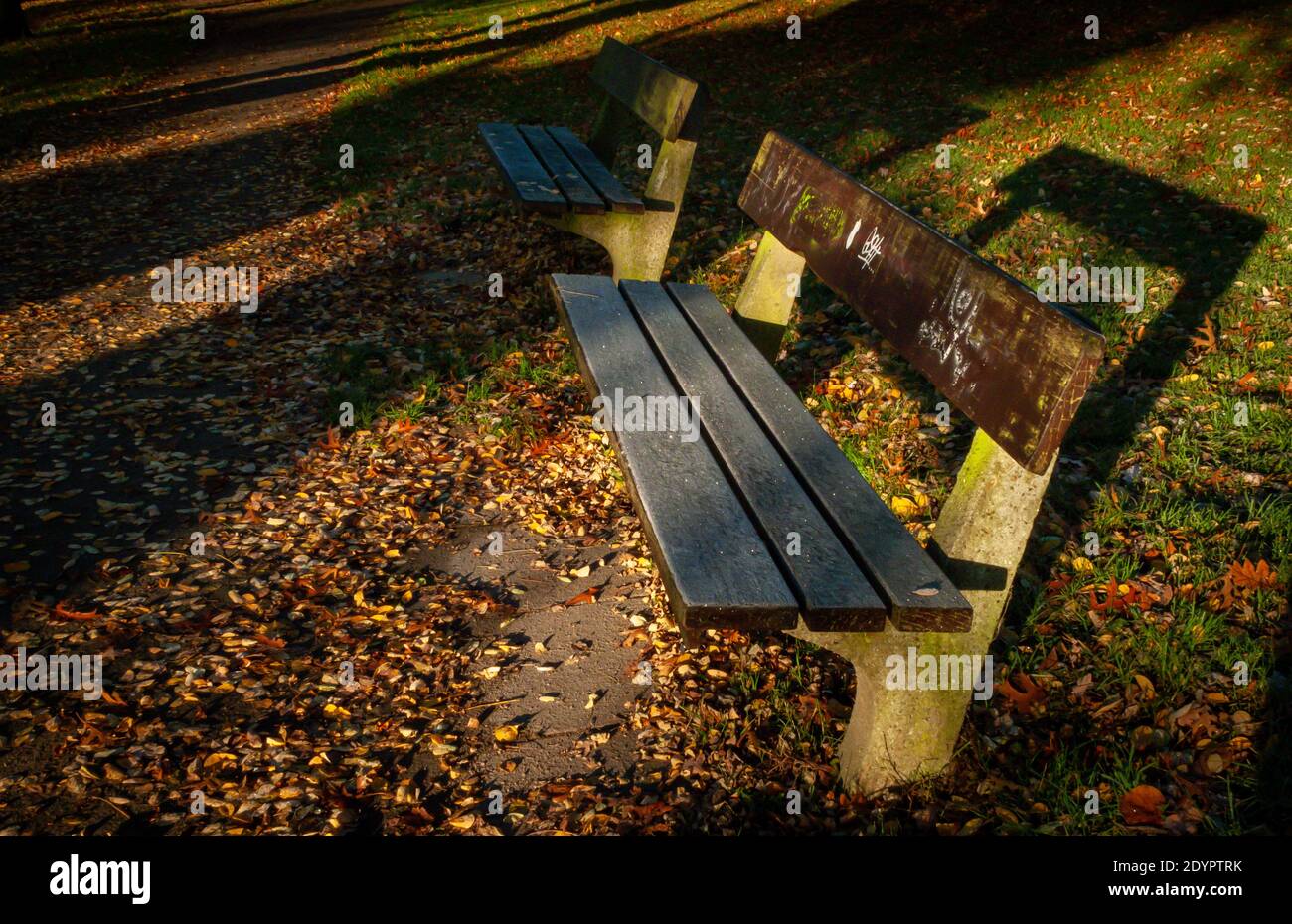 TallantImages, Park, Bank, Schatten, Abstrakt, Altona Stockfoto