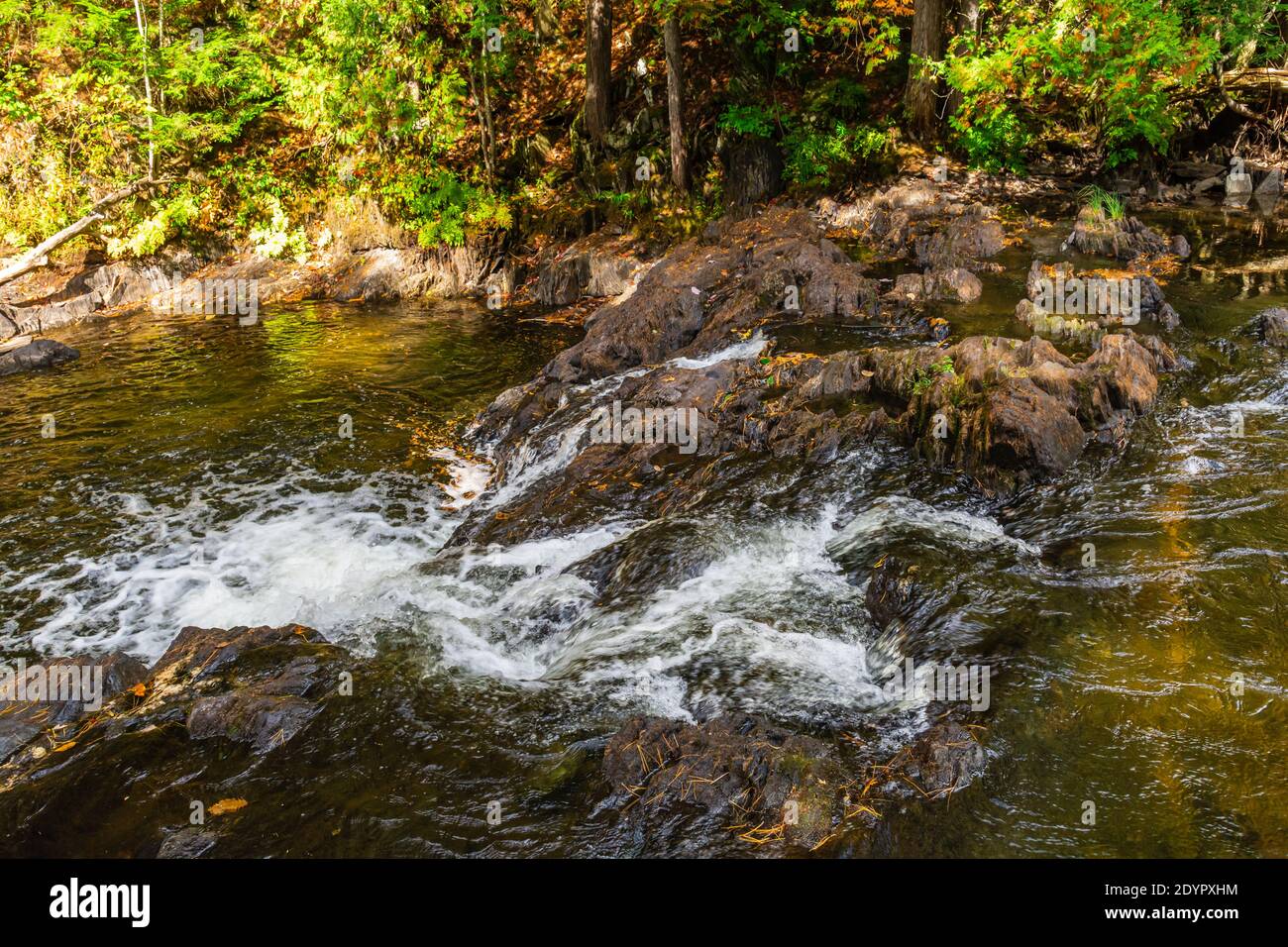 Cordova Falls Cordova Lake Crowe River Havelock Peterborough County Ontario Kanada im Herbst Stockfoto