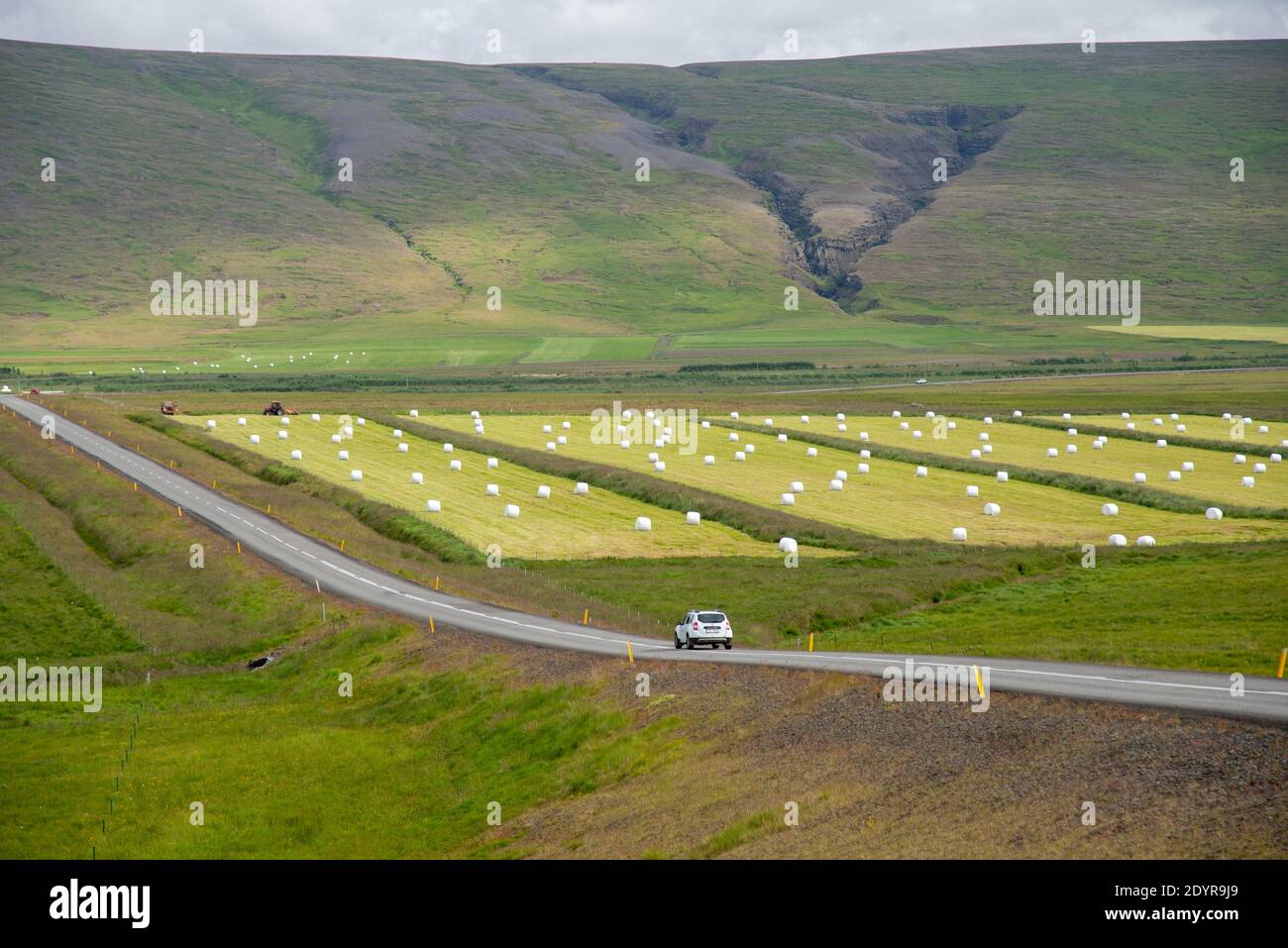 Blick auf die Landschaft von Island mit Straße und leeren Feldern Mit Heurollen Stockfoto