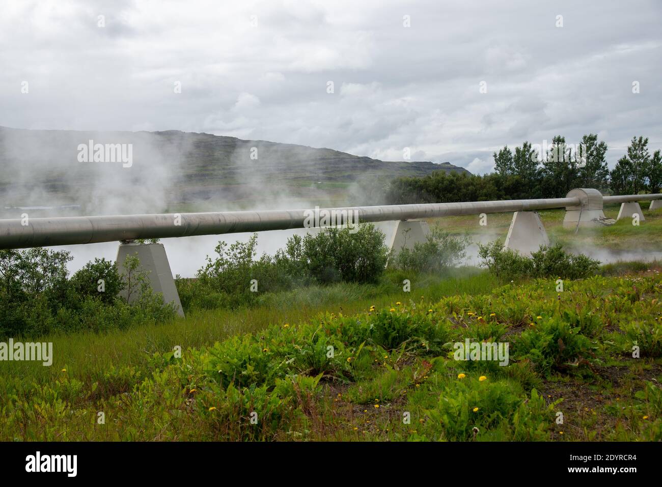 Pipelines für den Transport von Warmwasser auf Island Stockfoto