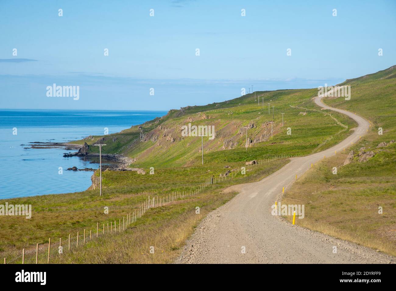 Landschaft bei Vatnsnes auf Island Stockfoto