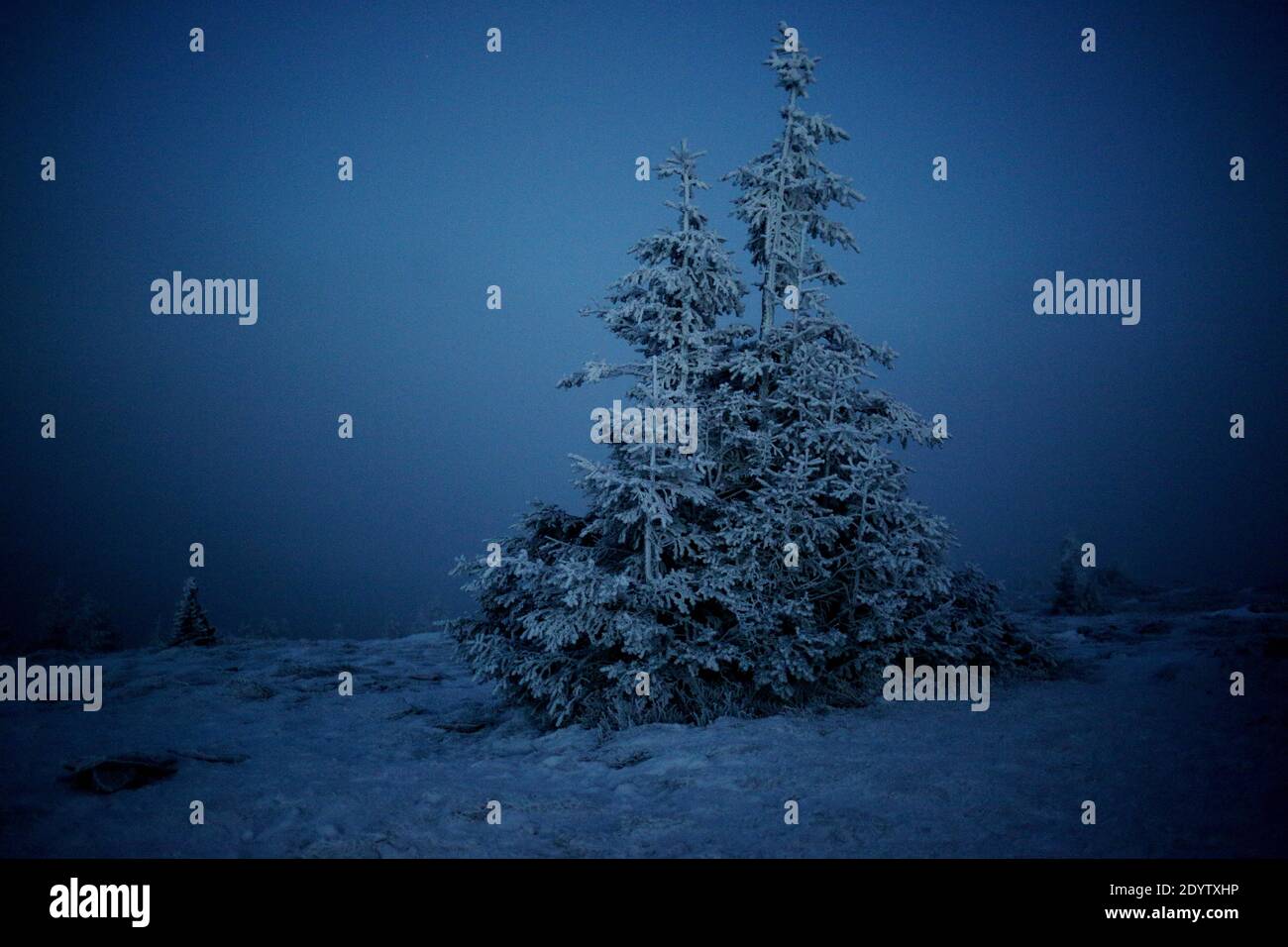 Pilsko Gipfel in der Nacht im Winter. Stockfoto