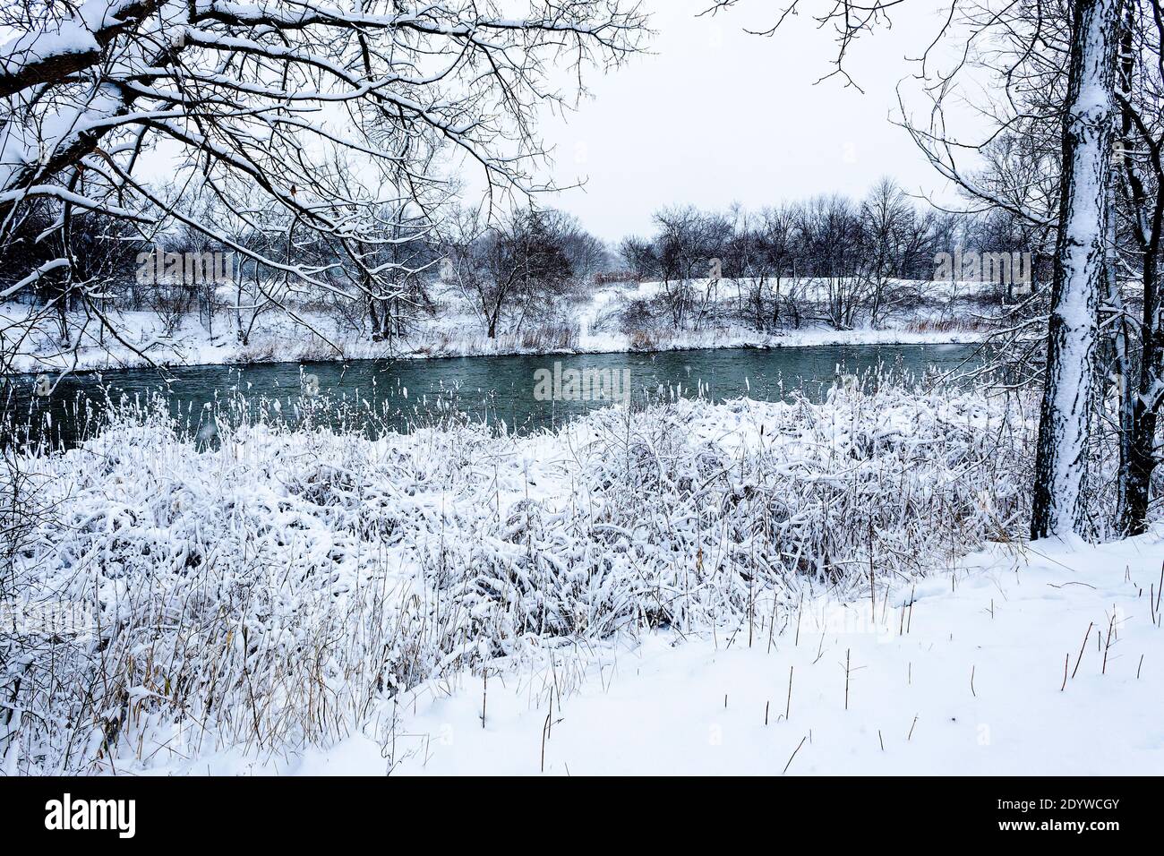 Schnee Tag Blick auf den Fluss Stockfoto