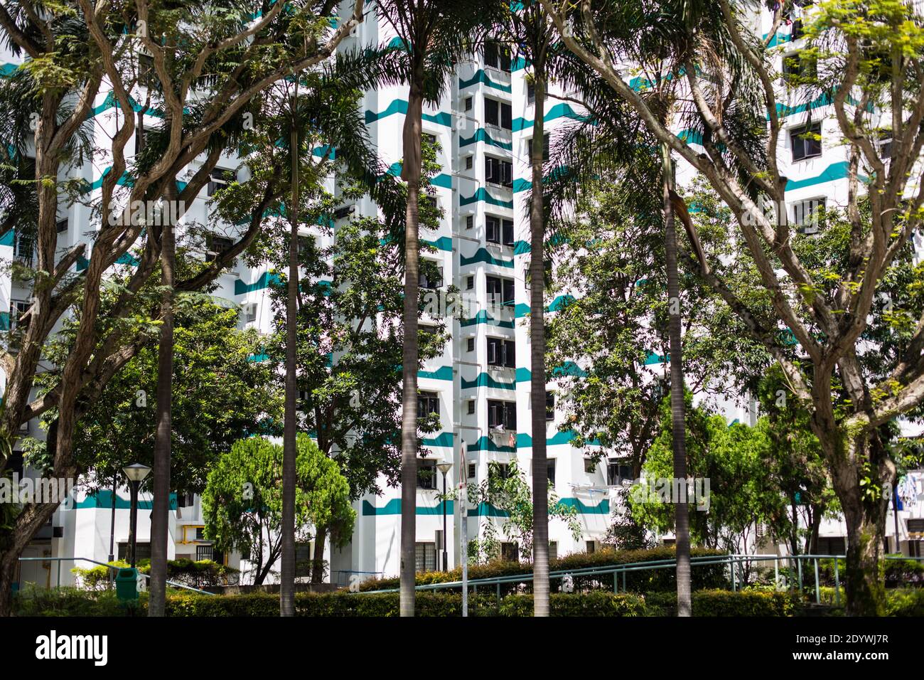 Landschaftsgestaltung einer Reihe von Bäumen gleichmäßig vor einem Wohngebiet Platz gepflanzt. Singapur Stockfoto