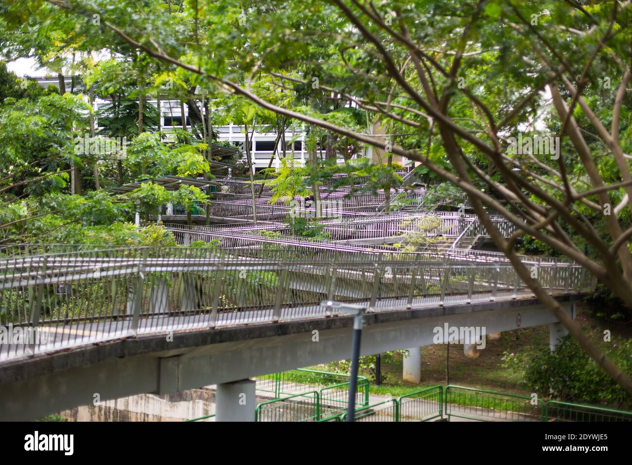 Brückendesign, umgeben von üppig grünen Bäumen. Über der Straße gebaut. Singapur. Stockfoto