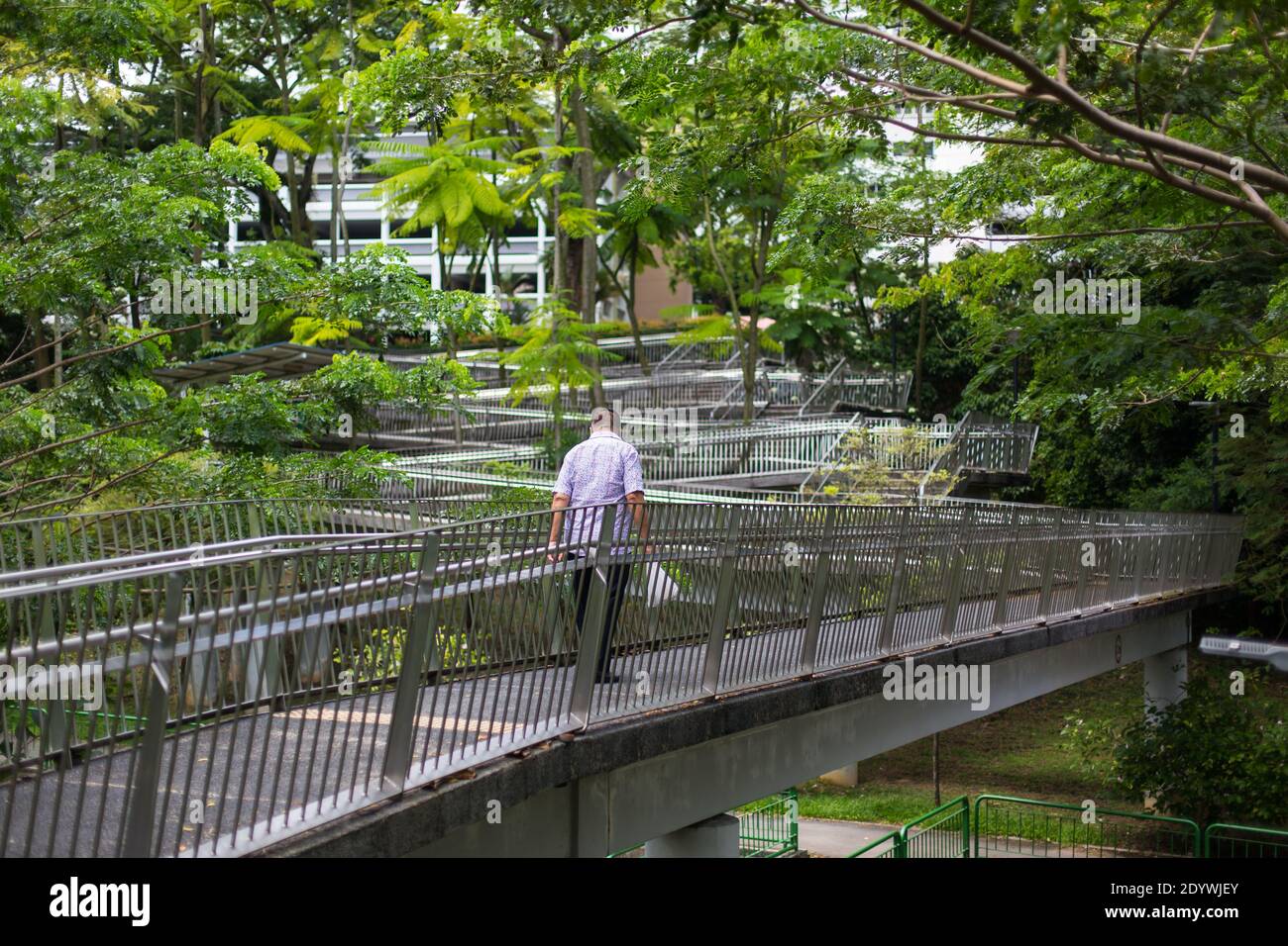 Ein älterer Mann, der die Brücke unter üppigen Bäumen im Freien überquert. Singapur Stockfoto