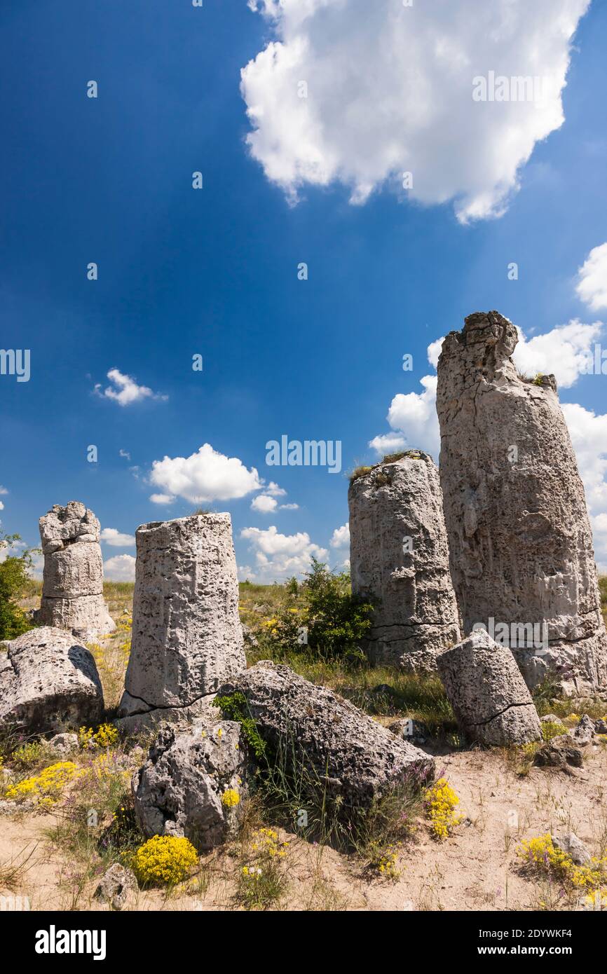 Der Steinwald, Pobiti Kamani, Dikilitash, Natursteinformationen, Varna Provinz, Bulgarien, Südosteuropa, Europa Stockfoto